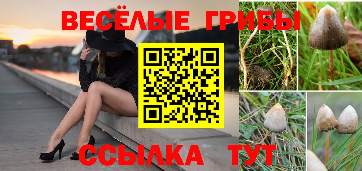 Галлюциногенные грибы Magic Shrooms  Вход с VPN  Кондопога 